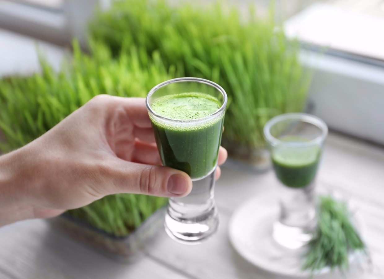 How Wheat Grass Greens Affect Your Health